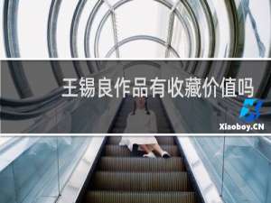 王锡良作品有收藏价值吗