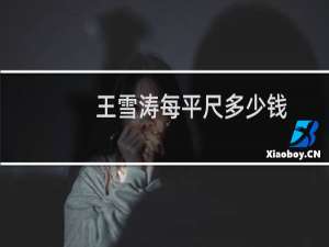 王雪涛每平尺多少钱