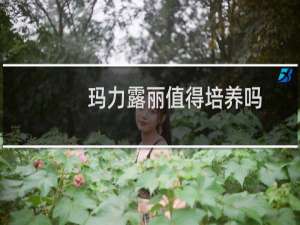玛力露丽值得培养吗