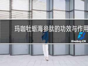 玛咖牡蛎海参肽的功效与作用