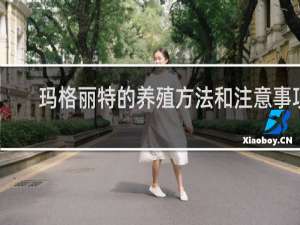 玛格丽特的养殖方法和注意事项