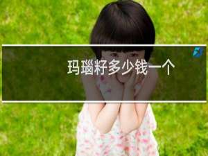 玛瑙籽多少钱一个