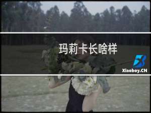 玛莉卡长啥样 艾尔登法环