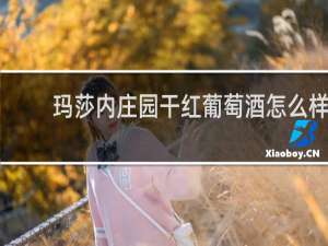 玛莎内庄园干红葡萄酒怎么样