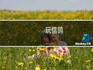 玩信鸽