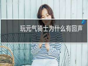 玩元气骑士为什么有回声