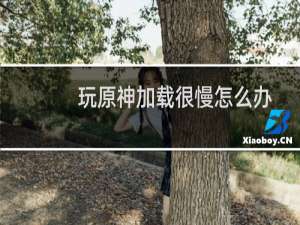 玩原神加载很慢怎么办