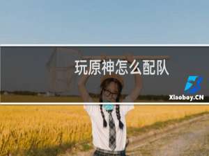 玩原神怎么配队