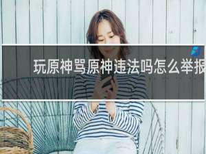 玩原神骂原神违法吗怎么举报
