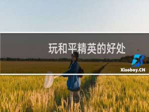 玩和平精英的好处(玩和平精英的好处有多少)
