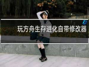 玩方舟生存进化自带修改器