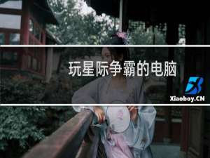 玩星际争霸的电脑