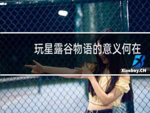 玩星露谷物语的意义何在