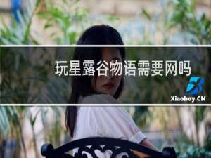 玩星露谷物语需要网吗