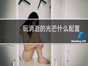 玩消逝的光芒什么配置