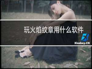 玩火焰纹章用什么软件