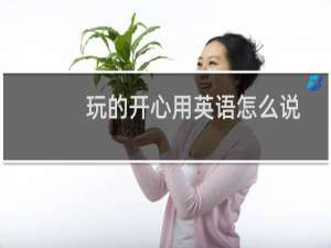 玩的开心用英语怎么说