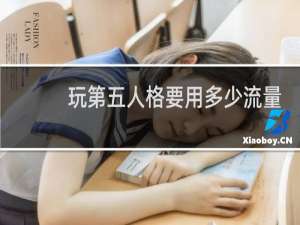 玩第五人格要用多少流量
