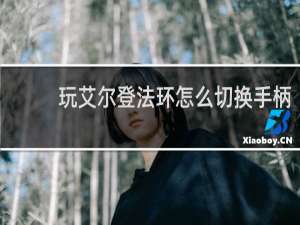 玩艾尔登法环怎么切换手柄