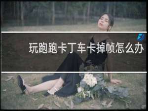 玩跑跑卡丁车卡掉帧怎么办