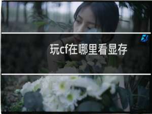 玩cf在哪里看显存