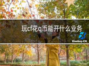 玩cf花q币能开什么业务