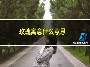 玫瑰寓意什么意思（玫瑰寓意几朵）