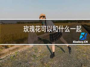 玫瑰花可以和什么一起泡水喝（玫瑰花可以和什么一起泡水喝）