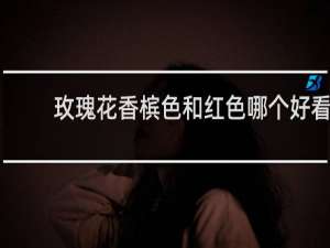 玫瑰花香槟色和红色哪个好看