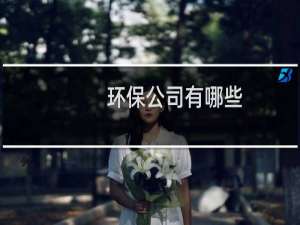 环保公司有哪些