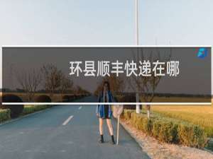 环县顺丰快递在哪