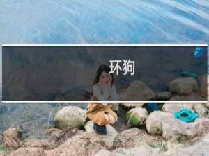 环狗