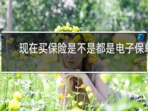 现在买保险是不是都是电子保单
