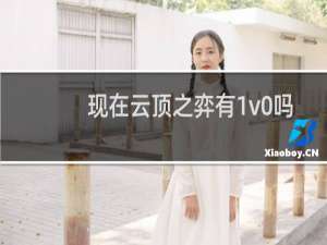 现在云顶之弈有1v0吗
