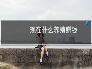 现在什么养殖赚钱