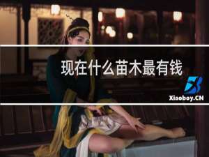 现在什么苗木最有钱