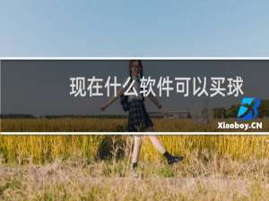 现在什么软件可以买球