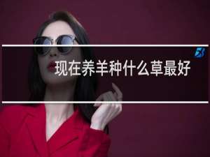 现在养羊种什么草最好