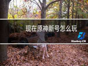 现在原神新号怎么玩