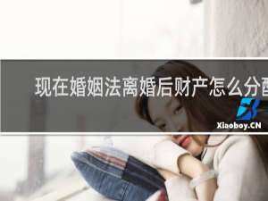现在婚姻法离婚后财产怎么分配