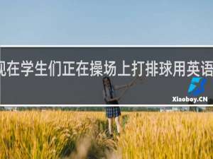 现在学生们正在操场上打排球用英语怎么说