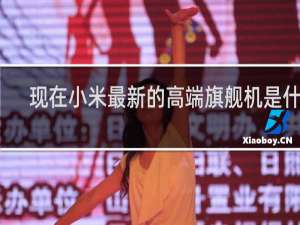 现在小米最新的高端旗舰机是什么