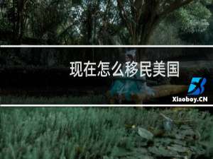 现在怎么移民美国