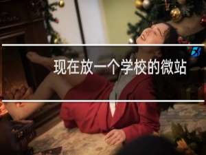 现在放一个学校的微站，公安网络安全评测员要求提示一个WAF防