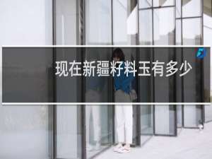 现在新疆籽料玉有多少