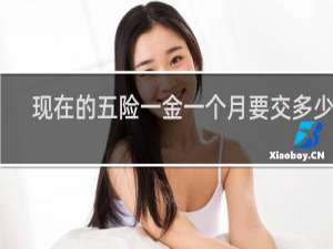 现在的五险一金一个月要交多少钱