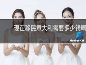 现在移民意大利需要多少钱啊