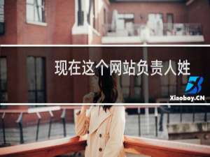 现在这个网站负责人姓名:戴炜峰  要更换成“张士鹏”