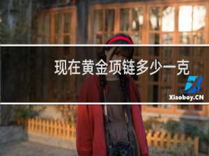 现在黄金项链多少一克