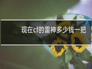 现在cf的雷神多少钱一把